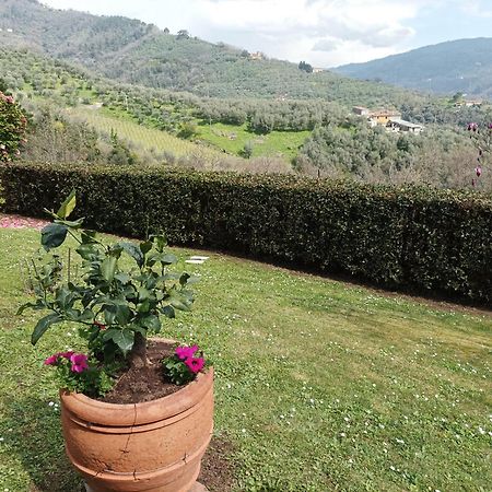 Villa Camelia Tuscany Pescia Luaran gambar