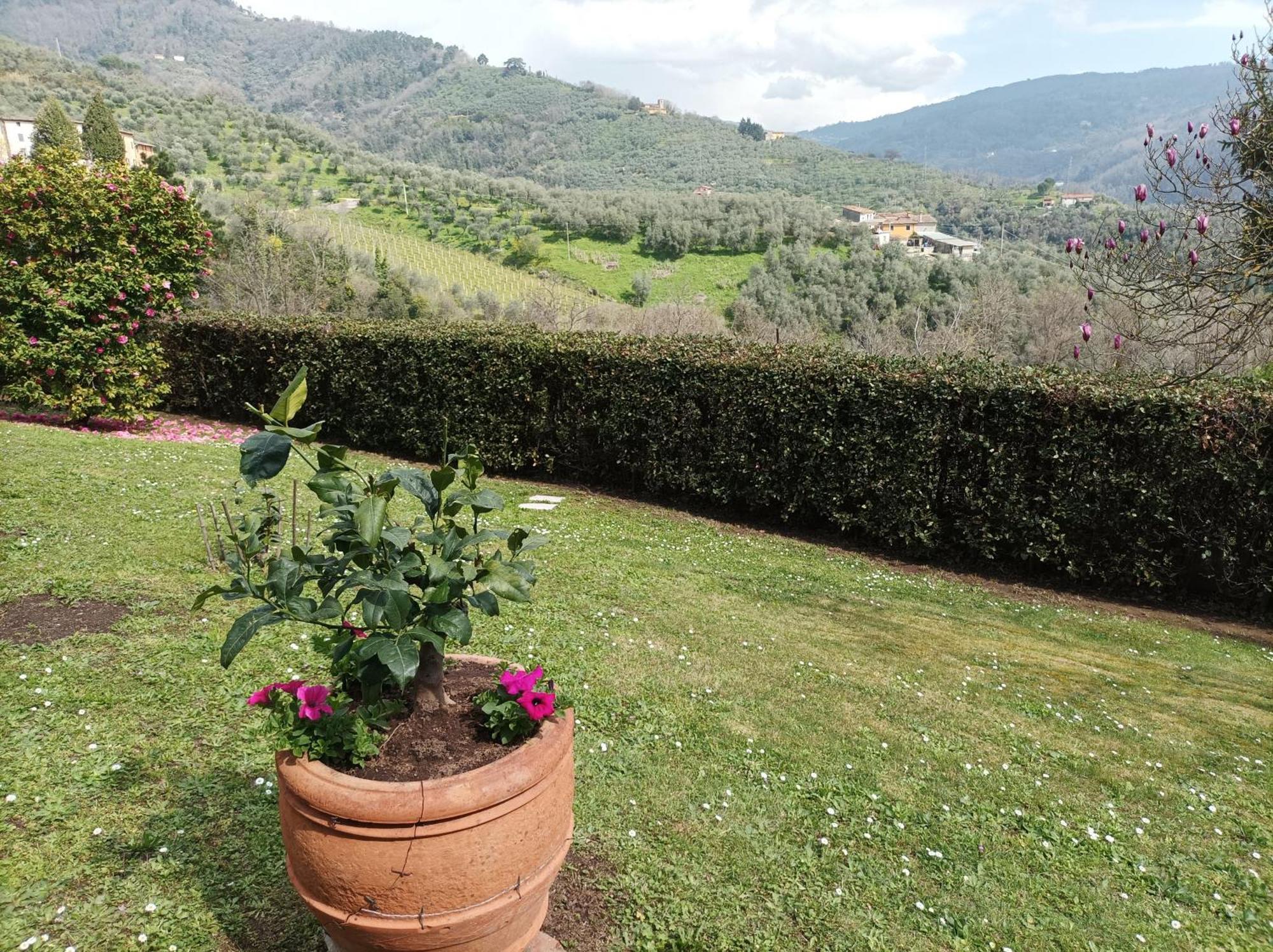 Villa Camelia Tuscany Pescia Luaran gambar